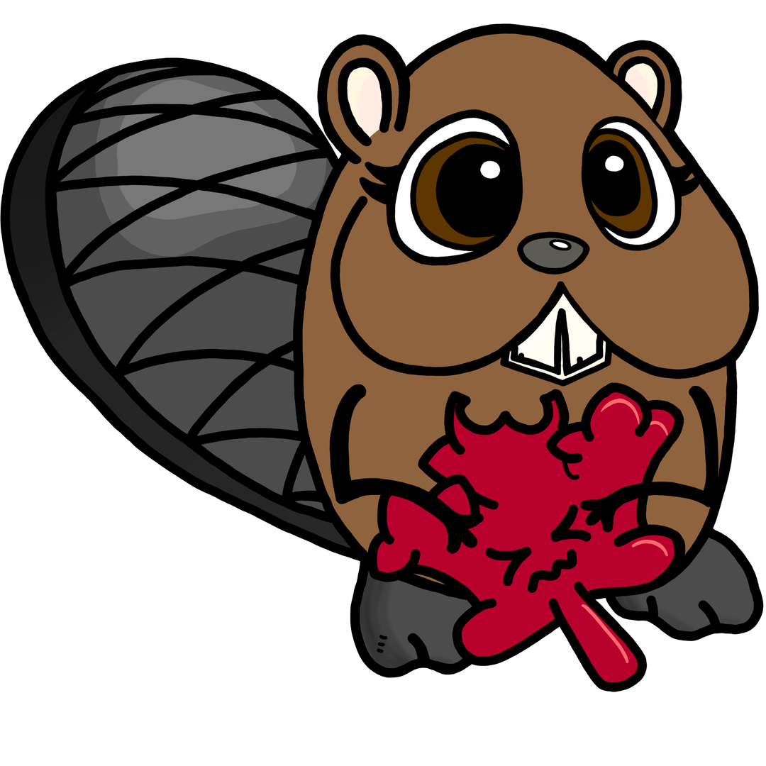 Drawing of a beaver hugging a maple leaf